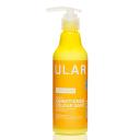 Кондиционер для волос COCOCHOCO Кондиционер для окрашенных волос Regular 250