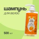 EGG PLANET Шампунь для волос с AHA, BHA, PHA, LHA - кислотами 500