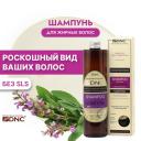 DNC шампунь для жирных волос для частого использования, 350 мл