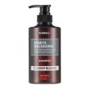 KUNDAL Шампунь для волос Цветок вишни Honey & Macadamia Shampoo 500