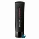 Шампунь для волос SEBASTIAN PROFESSIONAL Шампунь для восстановления и гладкости волос PENETRAITT 250