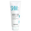 Шампунь для волос TEFIA Шампунь для склонной к жирности кожи головы Balancing Shampoo for Oily Scalp MYTREAT 250