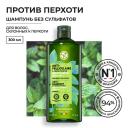 Шампунь для волос YVES ROCHER Шампунь ПРОТИВ ПЕРХОТИ с Перечной Мятой БИО - Для волос, склонных к перхоти 300