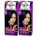 Палетт Интенсивный цвет Стойкая крем-краска для волос, 2 шт, C1 Иссиня-черный, 110 мл