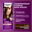 ПАЛЕТТ Стойкая крем-краска Интенсивный цвет 5-57 (GK4) Благородный каштан,