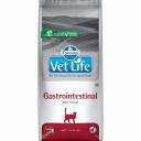 Farmina Vet Life Cat Gastrointestinal ветеринарный диетический сухой корм для взрослых кошек с воспалительными заболеваниями ЖКТ - 2 кг диетические супер премиум для взрослых с курицей мешок Сербия 1 уп. х 1 шт. х 2 кг