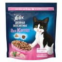 Felix Двойная Вкуснятина для котят до года, с курочкой - 600 г повседневный премиум для котят с курицей мешок Россия 1 уп. х 1 шт. х 0.6 кг