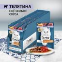 Кошки Гурмэ