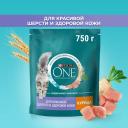 Сухой корм для кошек Purina ONE для здоровья кожи и шерсти с курицей и злаками, 750 г