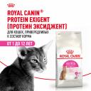 Сухие корма Royal Canin