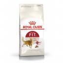 Сухой корм для кошек Royal Canin Fit, бывающих на улице 400 г