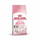 Royal Canin Kitten полнорационный сухой корм для котят в период третьей фазы роста до 12 месяцев - 1,2 кг повседневный супер премиум с птицей мешок Российский корм 1 уп. х 1 шт. х 1.2 кг