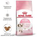 Корм для котят Royal Canin Kitten 2 шт. x 4000 г