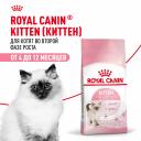 Еда Royal Canin