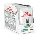 Корм для кошек Royal Canin Diabetic, при сахарном диабете, профилактика избыточного веса 12 шт. x 85 г (кусочки в соусе)