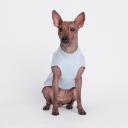 Petmax Свитер с оленем для кошек и собак, XL, голубой