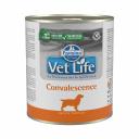 Консервы для собак Farmina Vet Life Convalescence, курица, 6шт по 300г