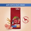 Сухой корм для собак Purina ONE, для средних и крупных пород, с курицей и рисом, 1,8 кг