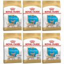 Сухой корм для щенков ROYAL CANIN CHIHUAHUA PUPPY, для чихуахуа, 6 шт по 1,5 кг