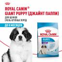 Еда Royal Canin
