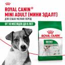 Сухие корма Royal Canin