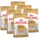 Сухой корм для собак ROYAL CANIN CHIHUAHUA ADULT,для чихуахуа, 6 шт по 1,5 кг