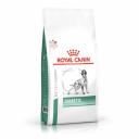 Royal Canin Diabetic DS37 полнорационный сухой корм для взрослых собак при сахарном диабете, диетический диетические супер премиум для взрослых с курицей для всех пород мешок Россия 1 уп. х 1 шт. х 12 кг