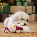 RURRI Игрушка для собак New Year Снеговик, 25х18х8 см