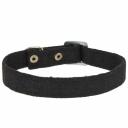 Каскад Ошейник брезентовый для собак, обхват шеи 15-70 см, ширина 3,5 см, черный