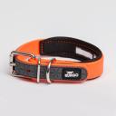 Rungo Ошейник из биотана с неопреном для собак, 2х35 см, оранжевый
