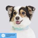 RURRI Ошейник охлаждающий для собак, S, зеленый