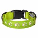 Ошейники, шлейки Tappi амуниция