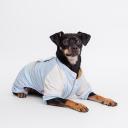 Petmax Комбинезон для собак Ушки, 2XL, голубой