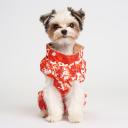 Petmax Комбинезон на замке для собак, M, оранжево-белый (унисекс)