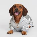 Petmax Комбинезон с капюшоном для собак, 3XL, серебряный (мальчик)