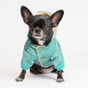 Petmax Куртка с капюшоном для собак, S, зеленая