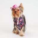 RURRI Комплект (шляпа, очки и бандана) для кошек и собак, шляпа 11х12,3х3,5 см, очки 7,5х3,2 см, длина дужек 7 см, розовый