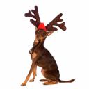 RURRI Ободок безразмерный для собак и кошек Рога оленьи коричневый (унисекс)