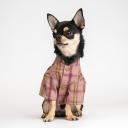 RURRI Рубашка с бантом для собак, XS, красная