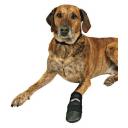 Обувь для собак Trixie Walker, размер S (вест-хайленд-уайт-терьер), 2 штуки