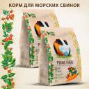 Сухой корм для морских свинок Prime Ever, упаковка 2 шт х 450 г