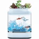 Аква-ферма Xiaomi Descriptive Geometry Mini Lazy Fish Tank (HF-JHYG005) Аква-ферма Xiaomi Descriptive Geometry Mini Lazy Fish Tank (HF-JHYG005)