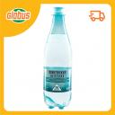 Вода минеральная природная Новотерская Целебная лечебно-столовая газированная