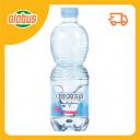 Вода природная питьевая Сенежская газированная