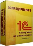 Право на использование 1С 1С:Предприятие 8.3. Сервер МИНИ на 5 подключений Право на использование 1С 1С:Предприятие 8.3. Сервер МИНИ на 5 подключений