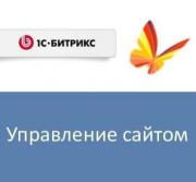 Право на использование (электронно) 1С-Битрикс Управление сайтом - Стандарт Право на использование (электронно) 1С-Битрикс Управление сайтом - Стандарт