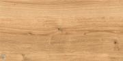 Керамогранитная плитка CERSANIT Woodhouse (297х598) коричневая WS4O112 (кв.м.) Керамогранитная плитка CERSANIT Woodhouse (297х598) коричневая WS4O112 (кв.м.)