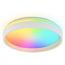 Потолочный светильник круглый RGB светодиодный с пультом (ночной режим, таймер) Ambrella ORBITAL FZ601