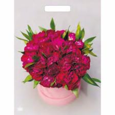 Пакет «Букет пионов», полиэтиленовый, с вырубной ручкой, 31x40 см, 60 мкм