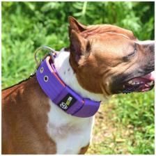 Ошейник для собак DOGTON. Широкий ошейник 5.5 см. Ручная работа. Премиум качество. Зарубежная сварная фурнитура.